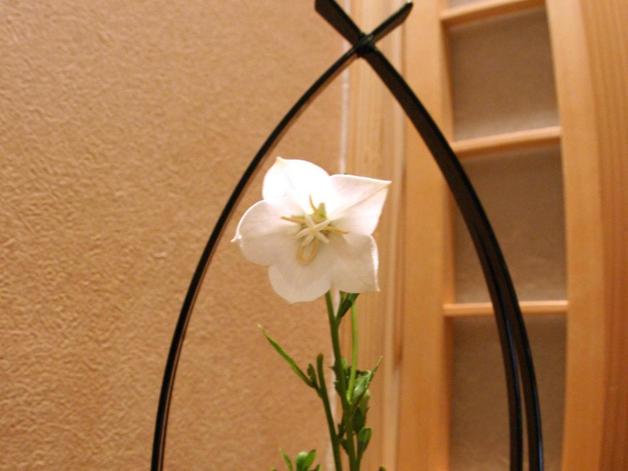Ryokan Shinsen Такачихо Екстериор снимка